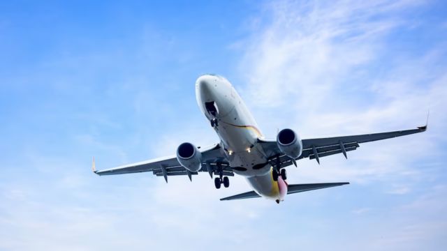 how to become a flight attendant in india